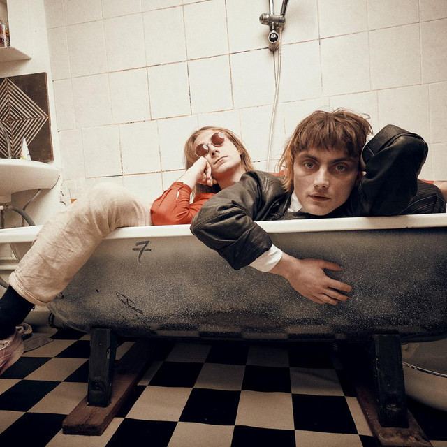 Profilbild von Dolphins