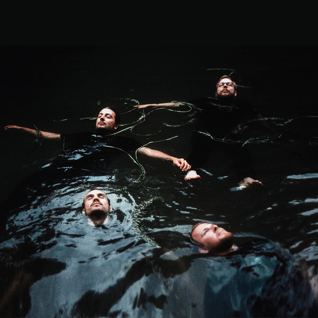 Profilbild von Bees Made Honey in the Vein Tree