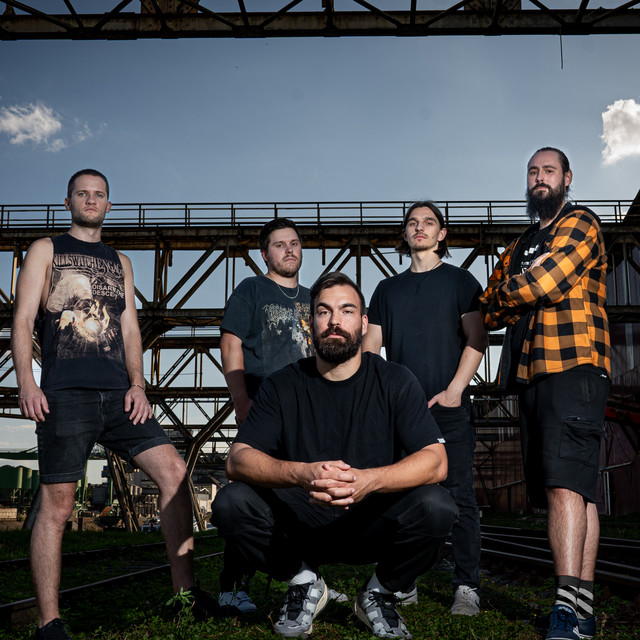 Profilbild von Losing My Grip