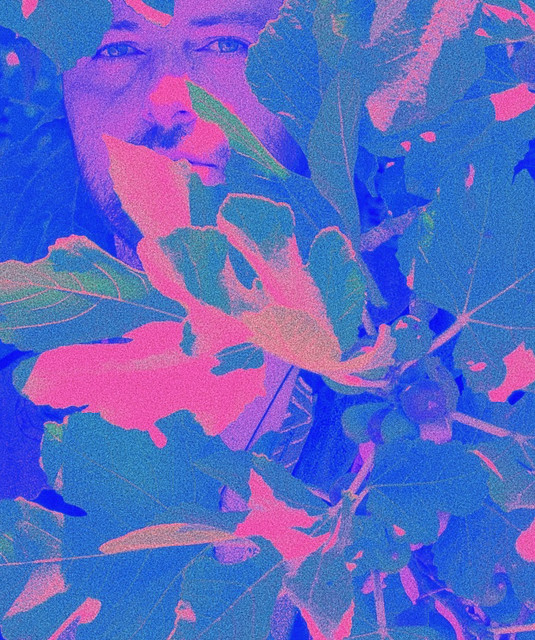 Profilbild von islandman