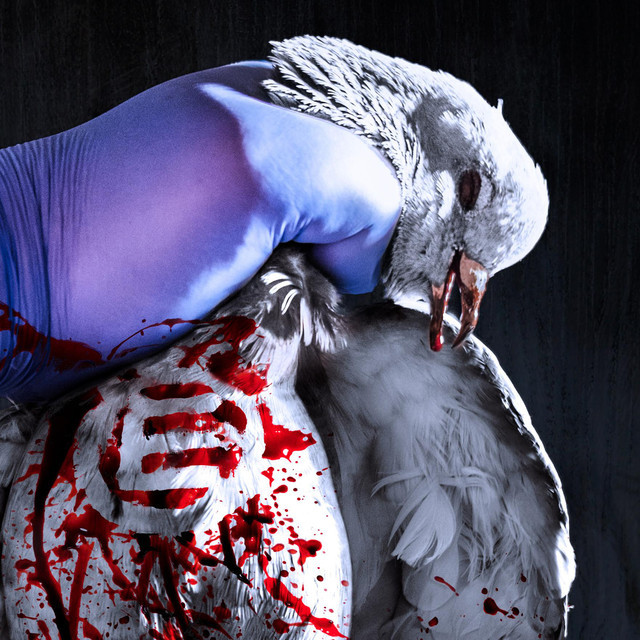 Profilbild von Napalm Death