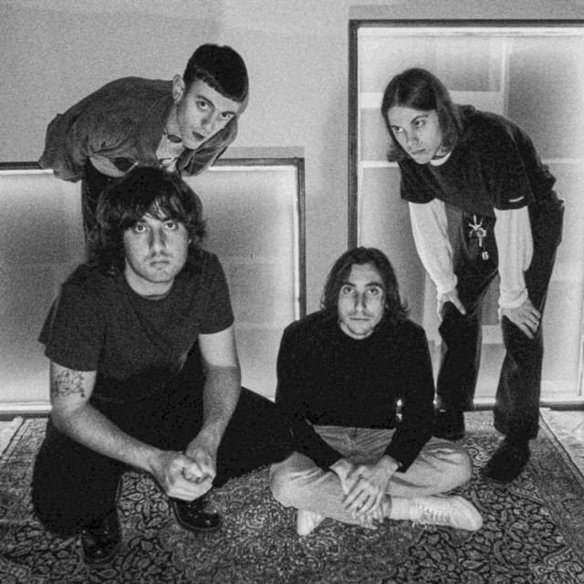 Profilbild von a/lpaca