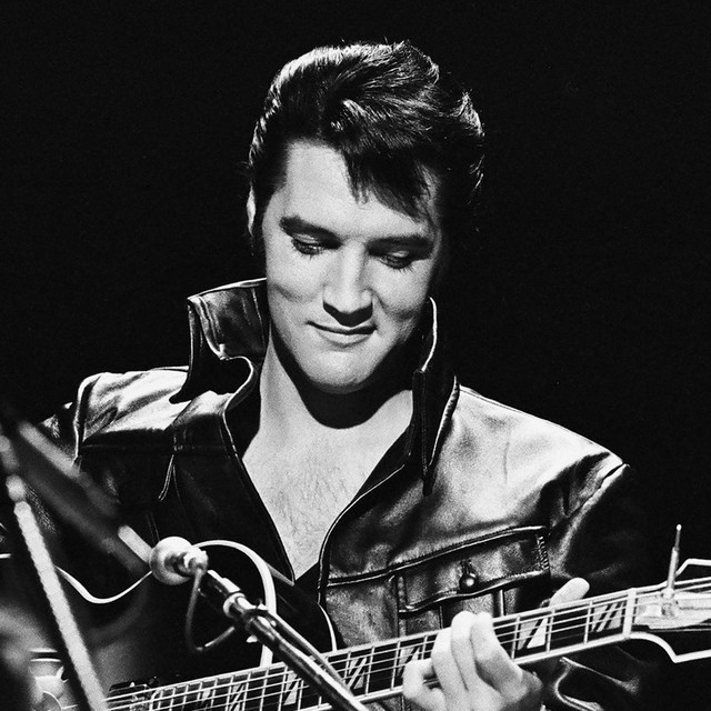 Profilbild von Elvis Presley