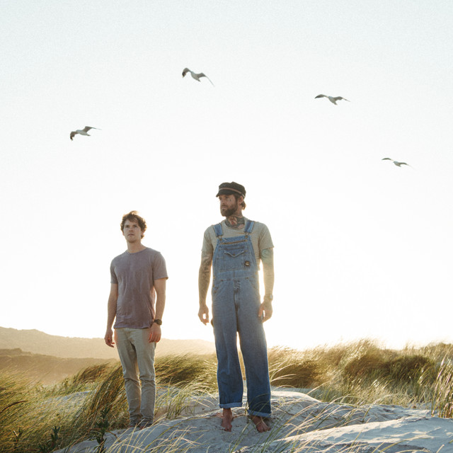 Profilbild von Salt Tree