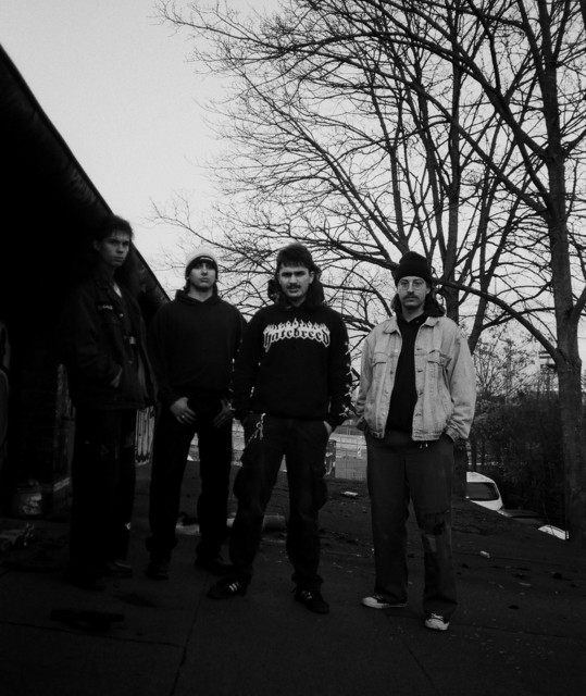 Profilbild von Thrufall