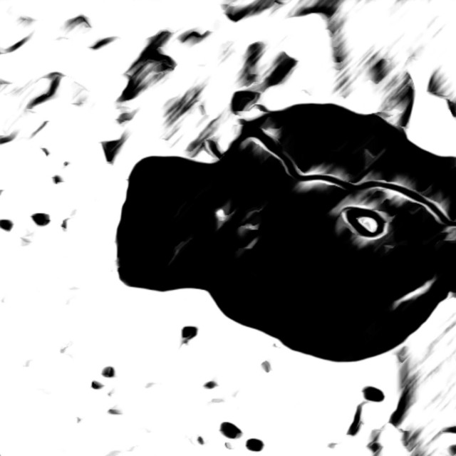 Profilbild von Anna Hjalmarsson