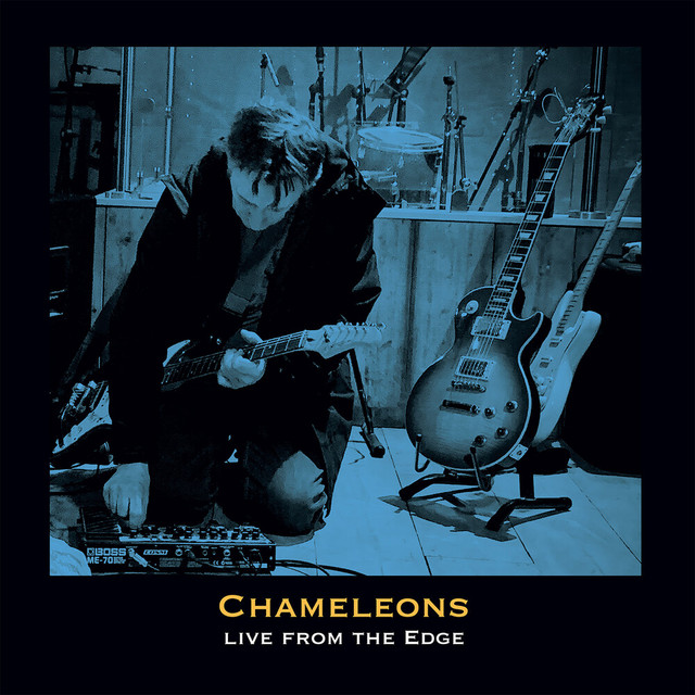 Profilbild von Chameleons (UK)