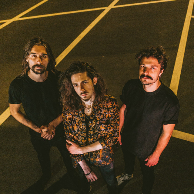 Profilbild von Psychonaut