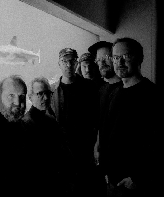 Profilbild von Carpet