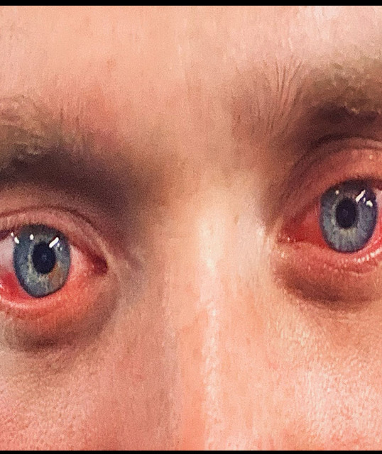 Profilbild von dissy