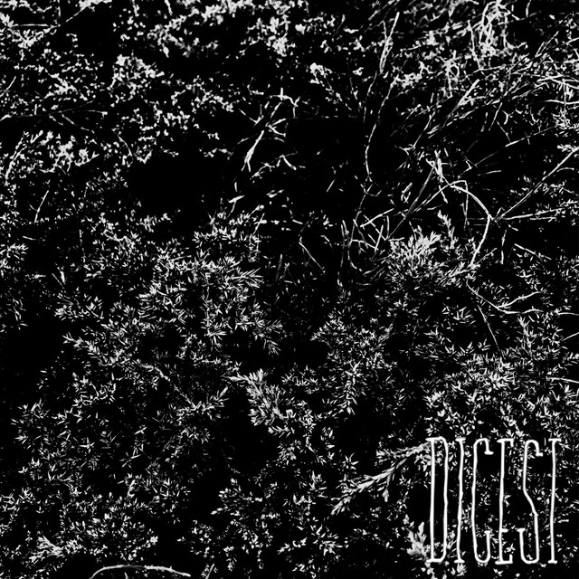 Profilbild von Digest