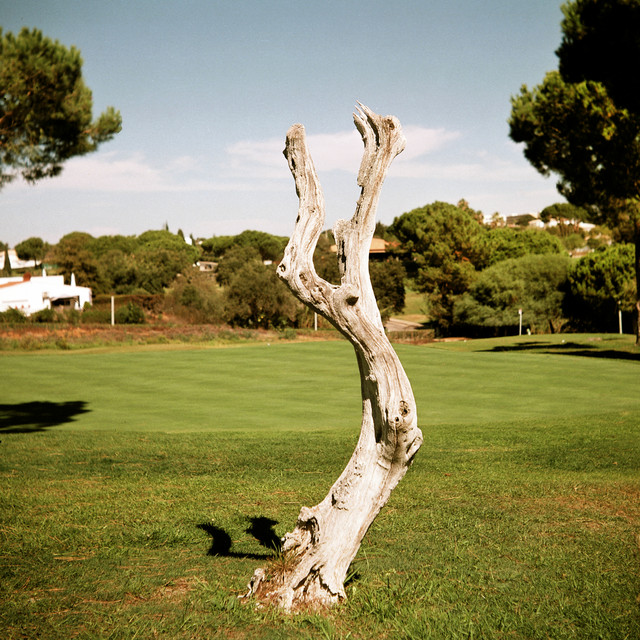 Profilbild von plasticsoup