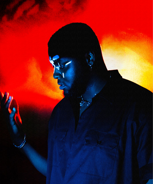 Profilbild von Ronis Goliath