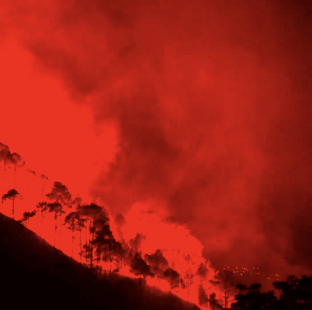 Profilbild von HOboken Division