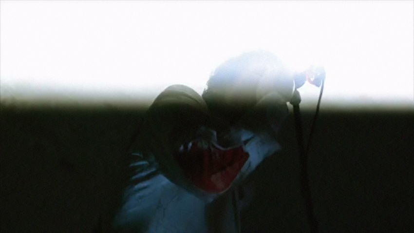 Profilbild von GEWALT