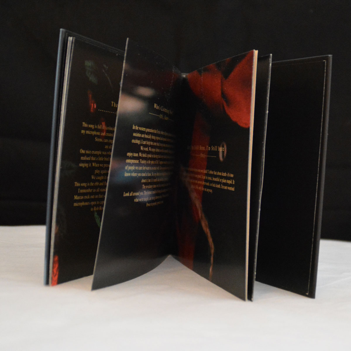 Thumbnail 3 von Wallis Bird (BOOK CD)