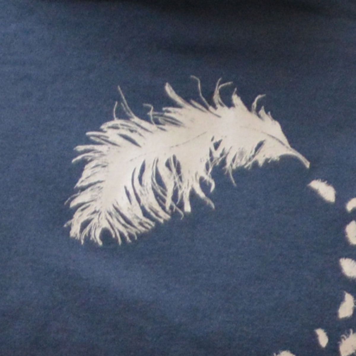 Thumbnail 2 von Feather Shirt (Unisex)