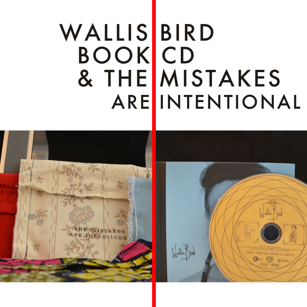 Produktbild für WALLIS BIRD BOOK CD & THE MISTAKES ARE INTENTIONAL COMBI
