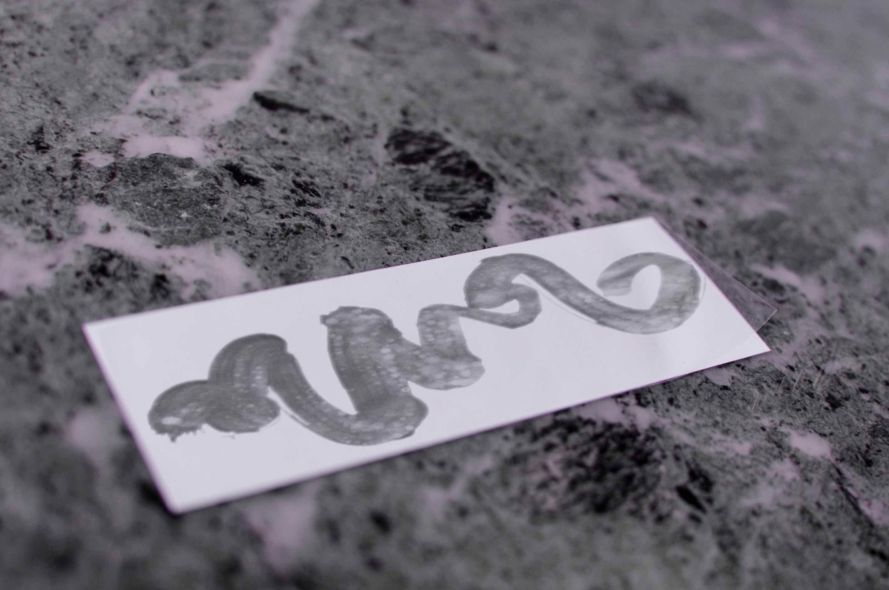 Thumbnail 4 von Amarena (Limited Box)