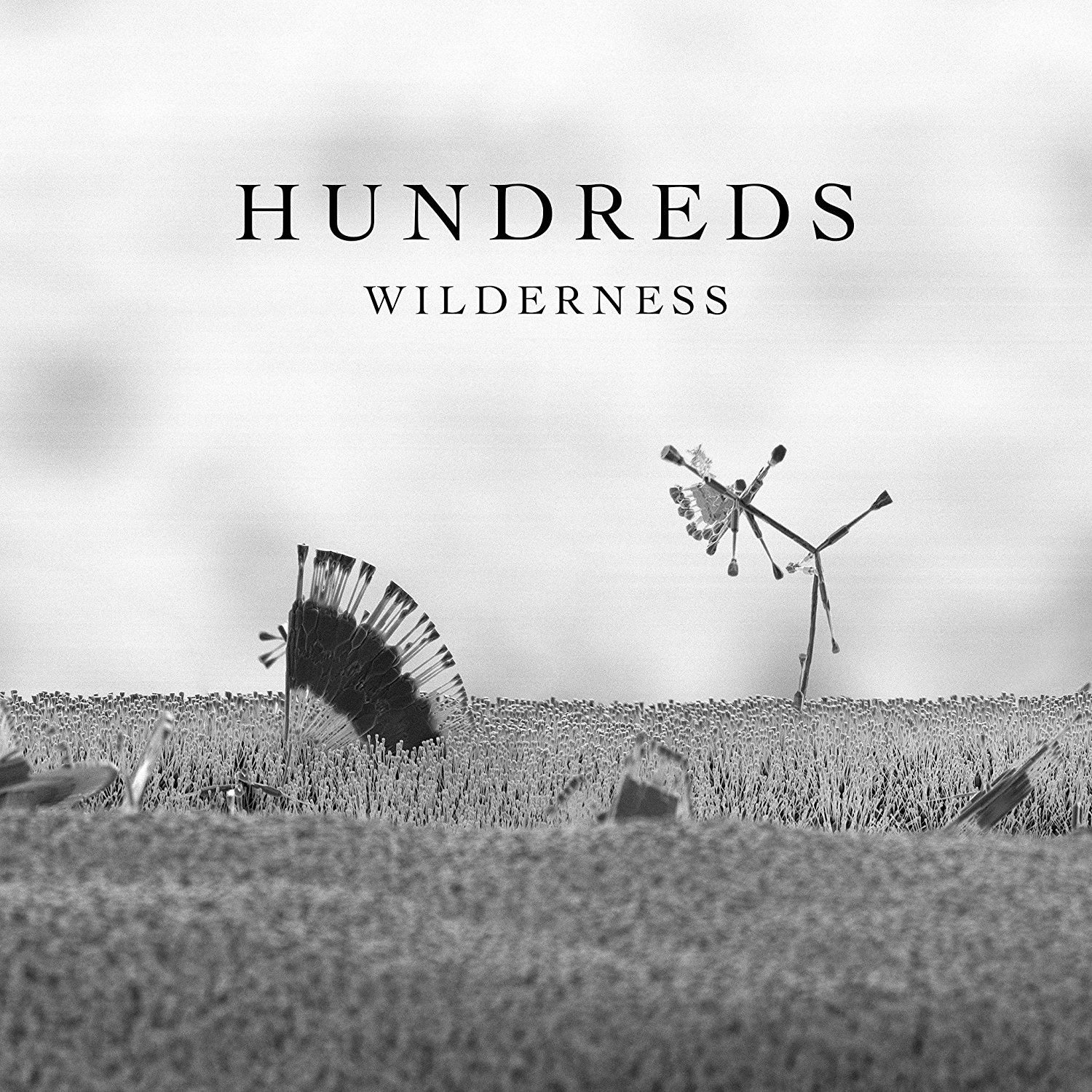 Produktbild für Hundreds - Wilderness (Deluxe CD)
