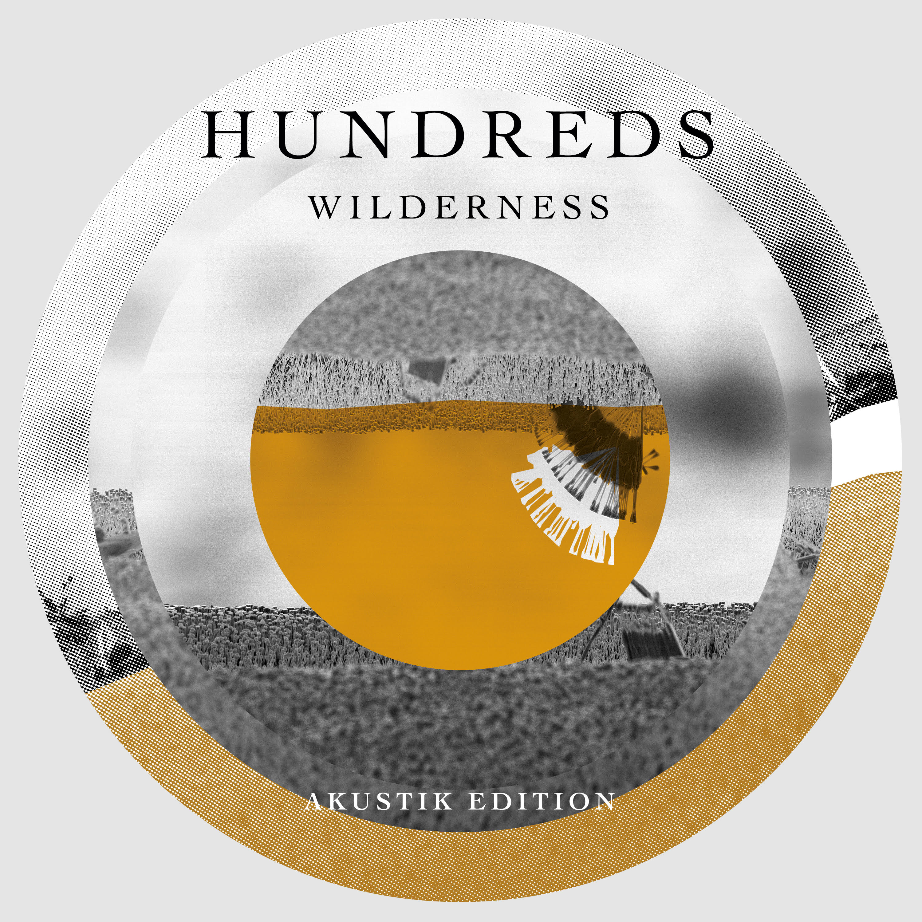 Produktbild für Hundreds - Wilderness (Akustik Edition) LP