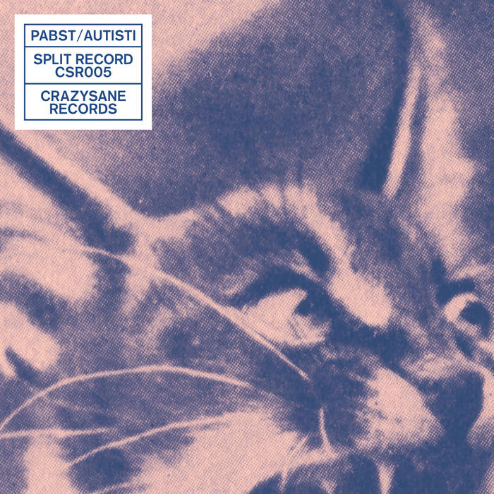 Hauptbild von Pabst/Autisti Split Record Single blau