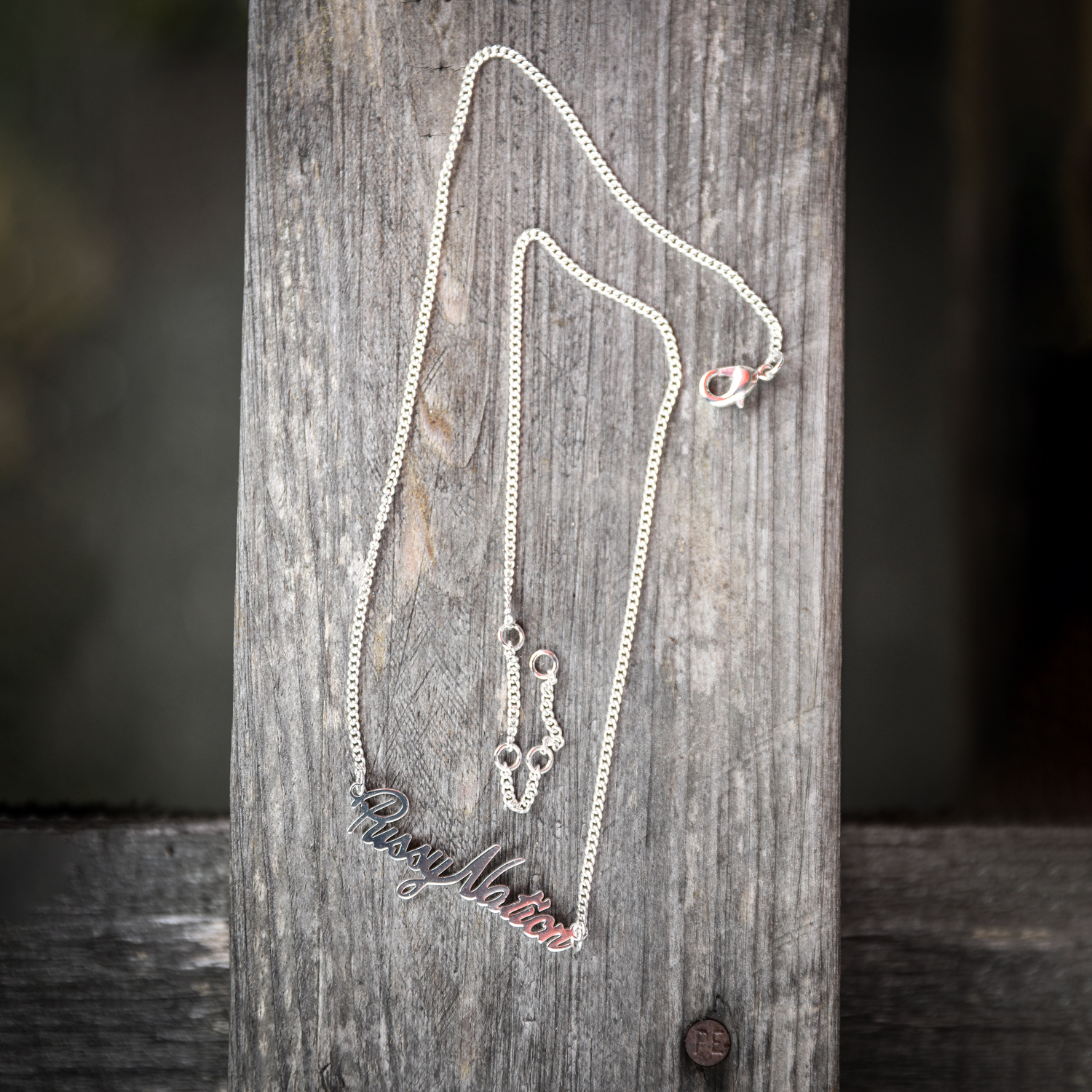 Thumbnail 2 von Carolin Kebekus - Kette PussyNation, silber