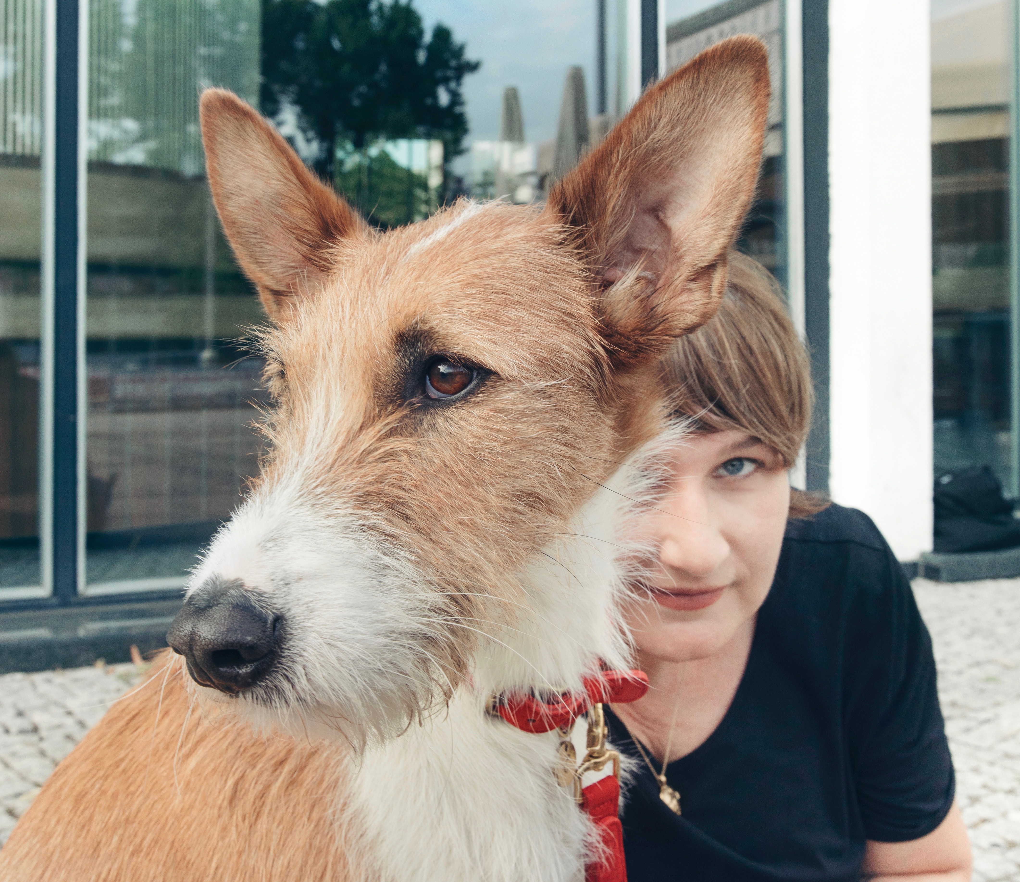 Veranstaltungsbild für KOMBITICKET LOCAS IN LOVE + STEFANIE SCHRANK & ANJA RÜTZEL