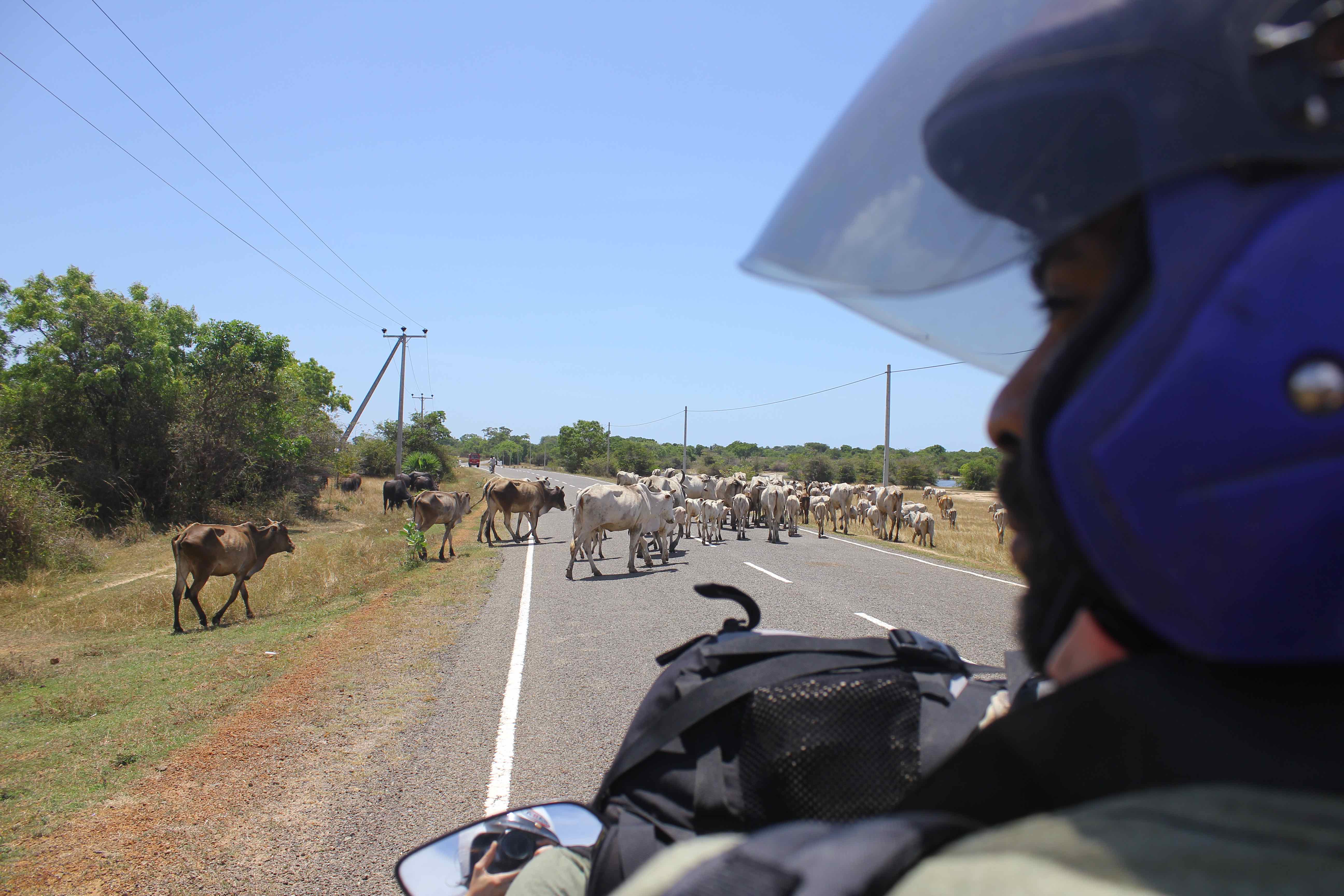 Veranstaltungsbild für AM ENDE DER STRAßE