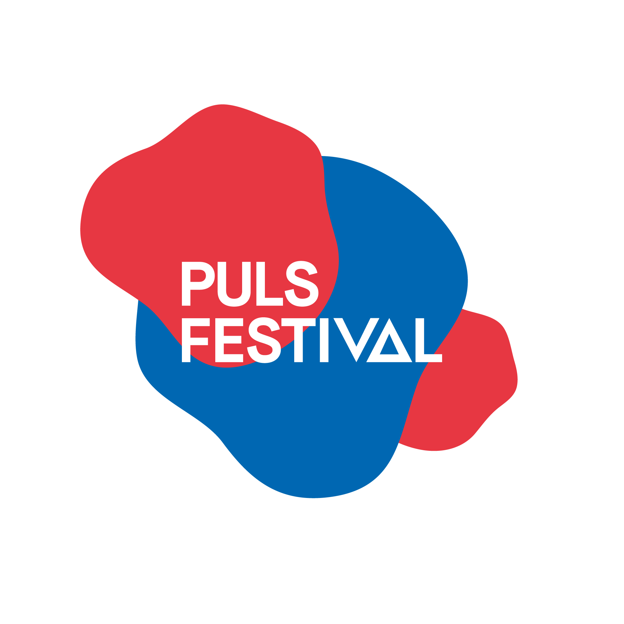 Veranstaltungsbild für PULS Festival 2019 (Indoor)