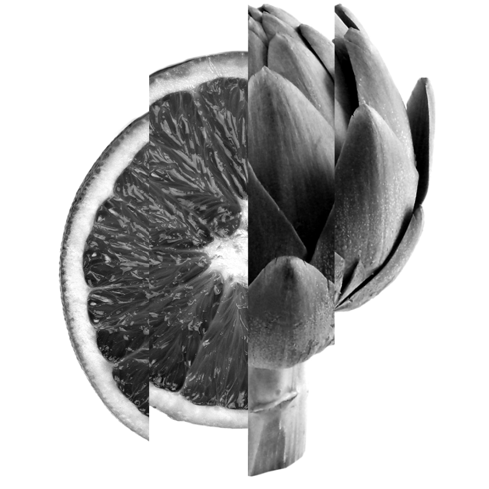 Veranstaltungsbild für Splitter Music Festival II