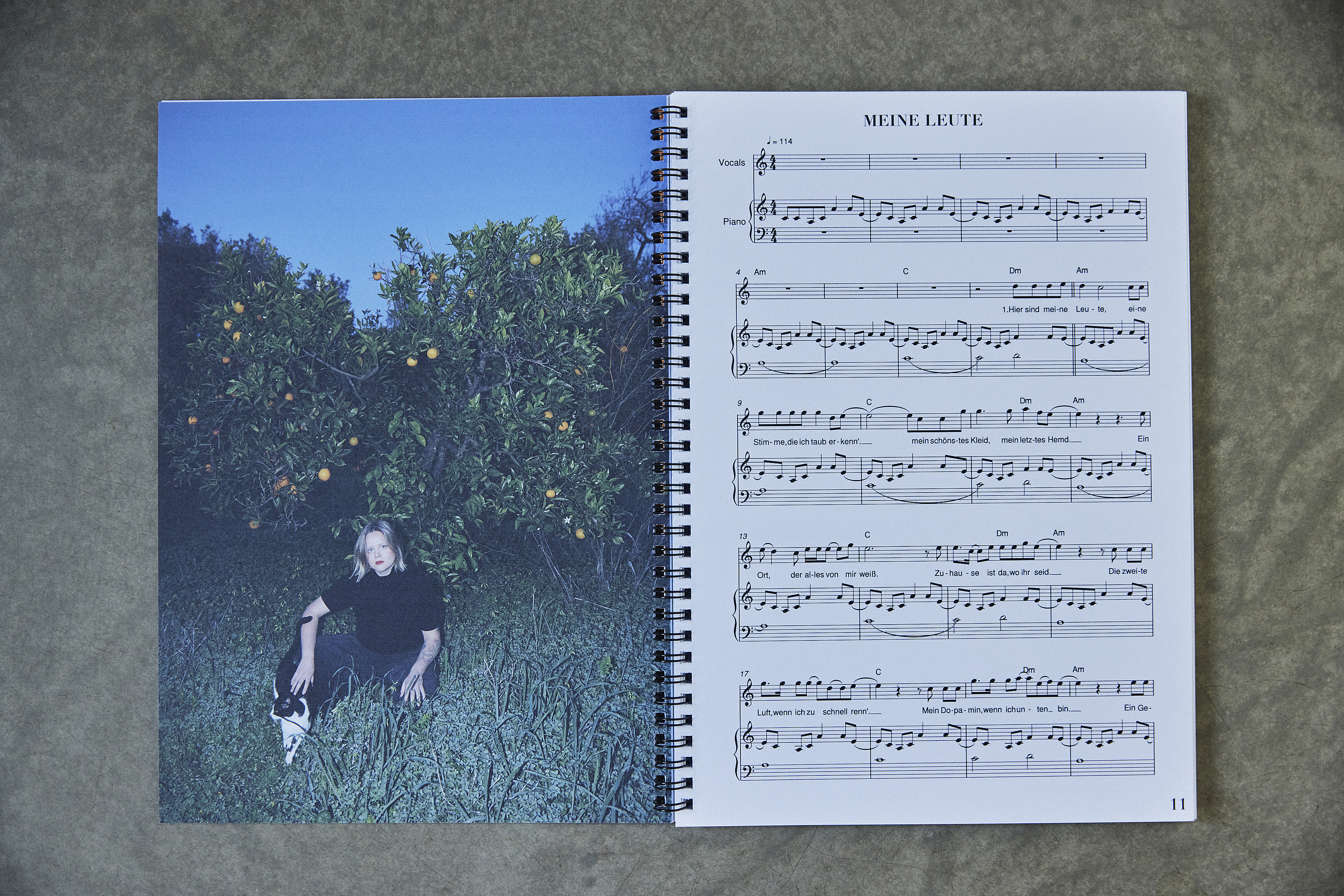 Thumbnail 3 von Songbuch #1