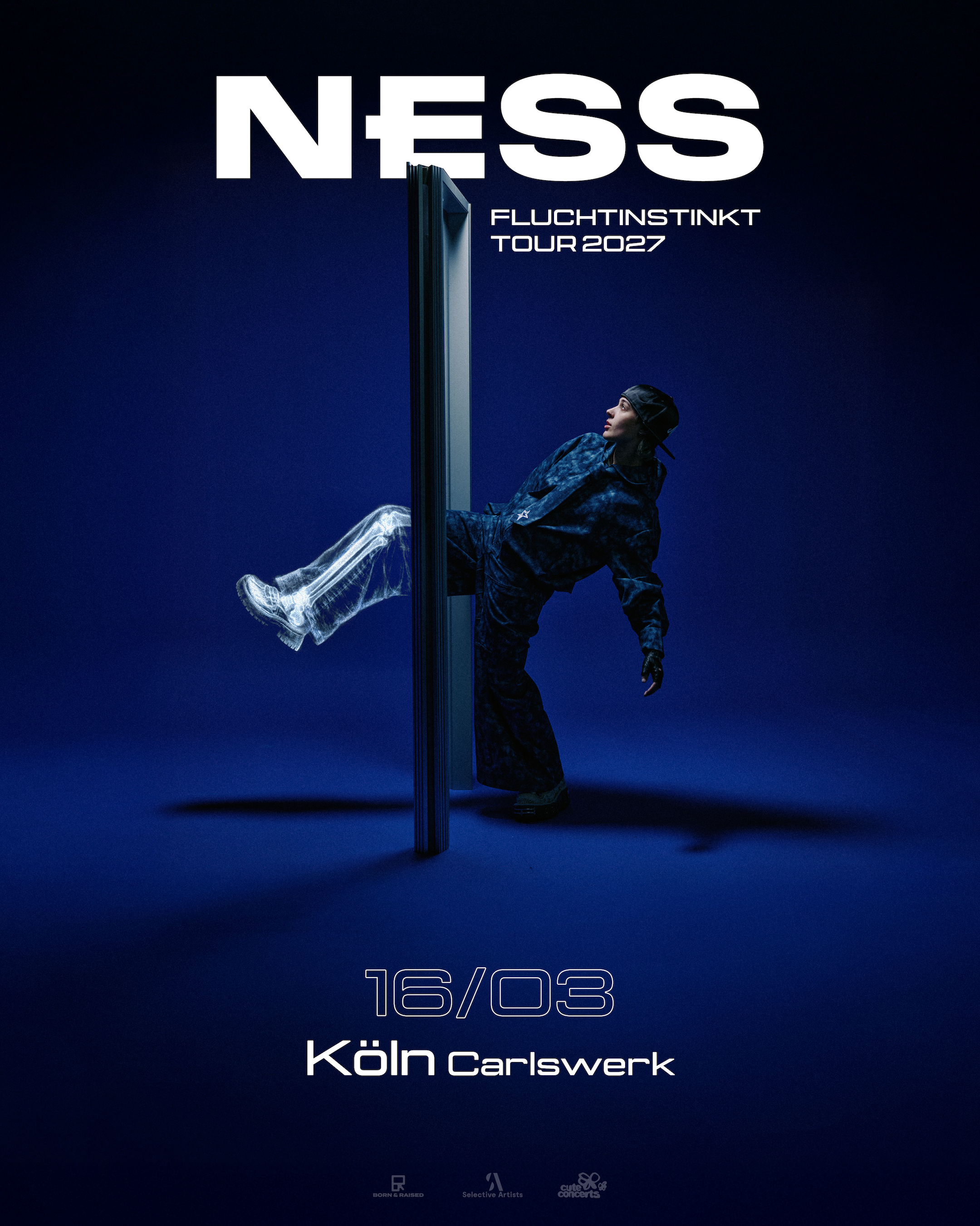 Veranstaltungsbild für NESS