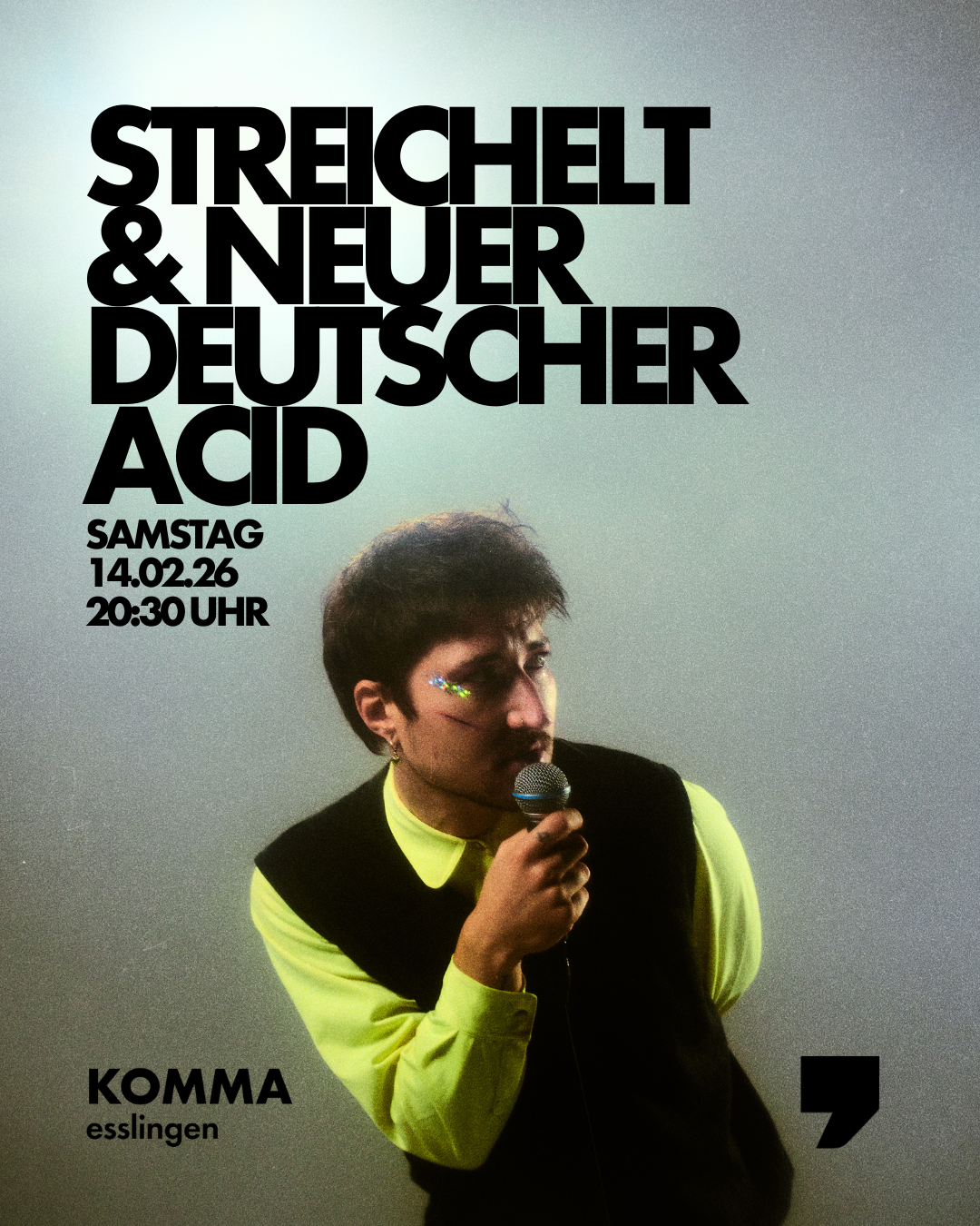 Veranstaltungsbild für Streichelt + Neuer Deutscher Acid 