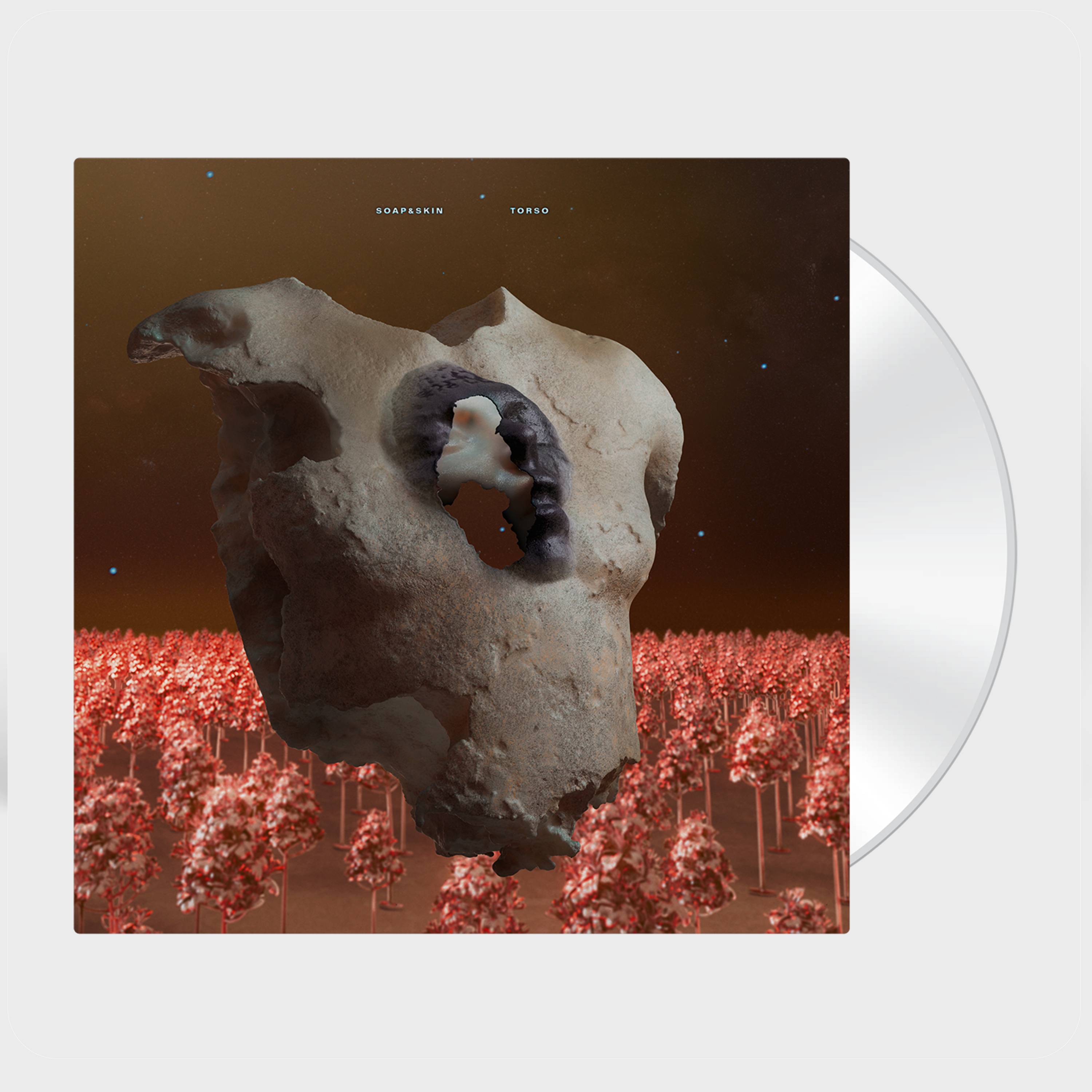 Thumbnail 3 von Torso