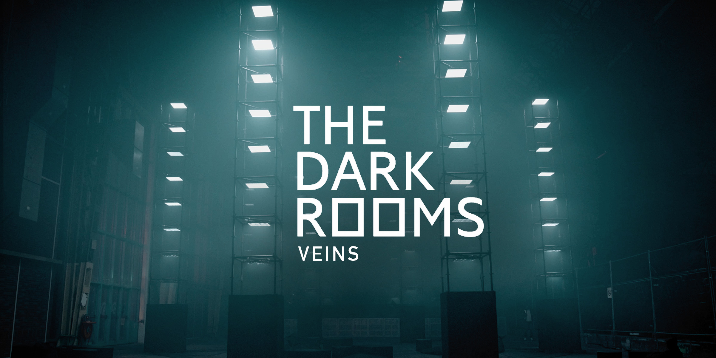THE DARK ROOMS VEINS