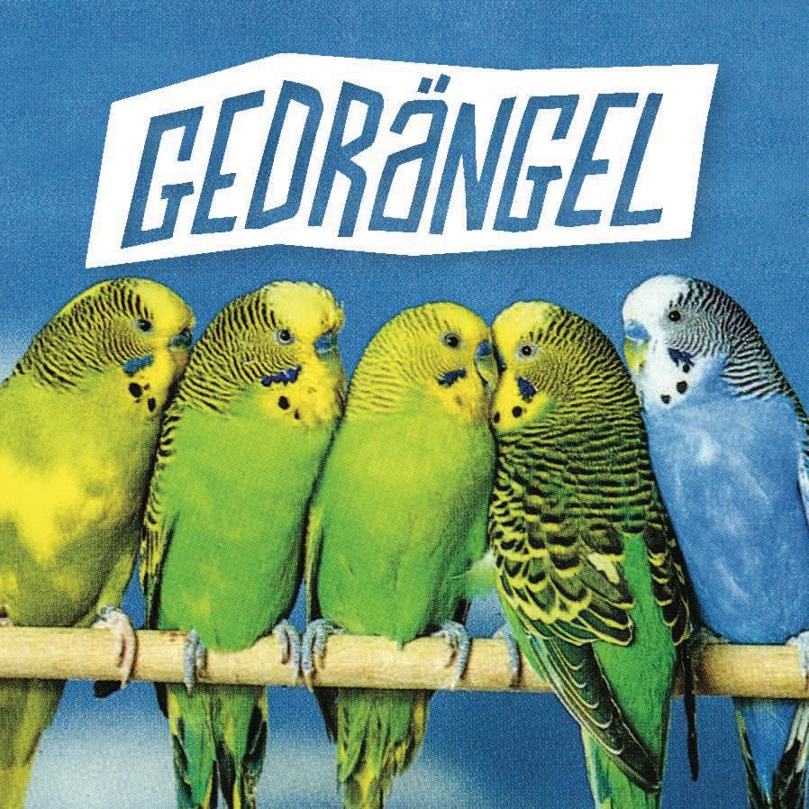 Veranstaltungsbild für Gedrängel [Köln] / Disgusting News [Bielefeld]