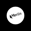 Kulturverein Merlin e.V. Logo