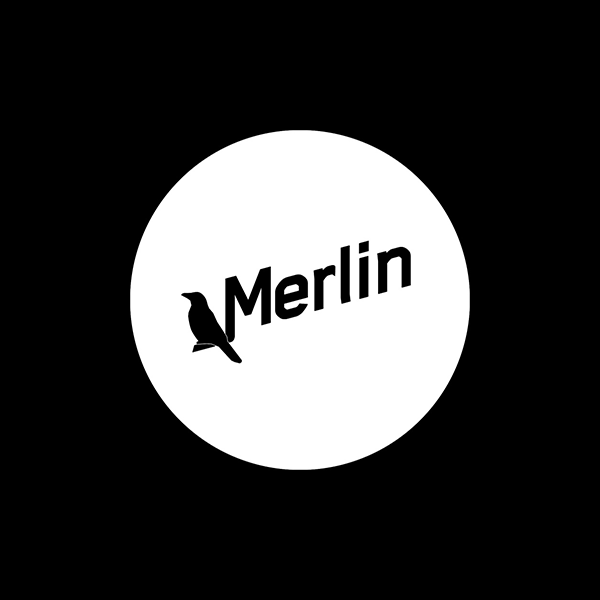 Kulturverein Merlin e.V.