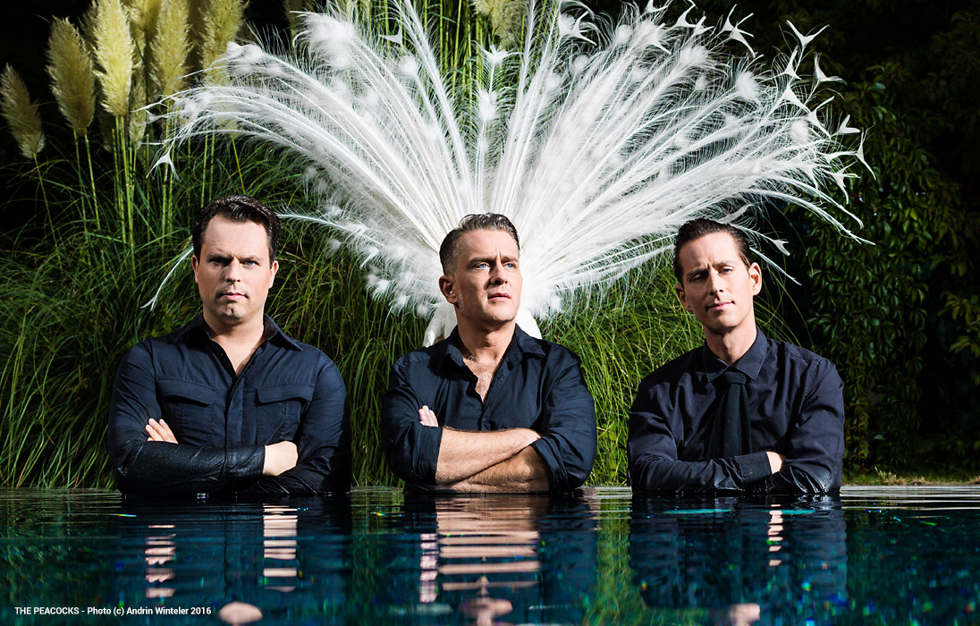 Veranstaltungsbild für The Peacocks